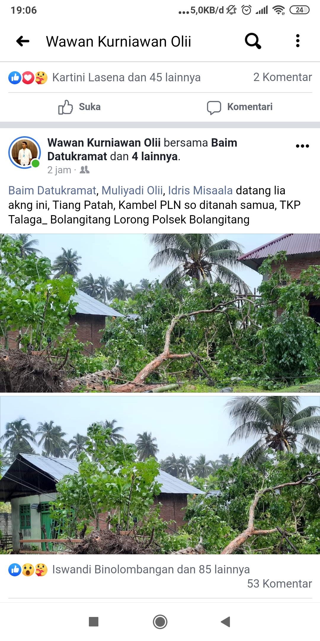 Pohon roboh